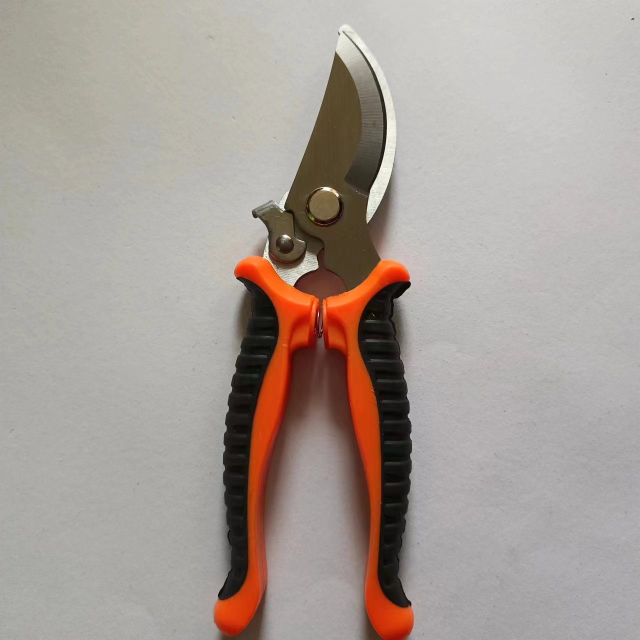 微信图片_20240228154302