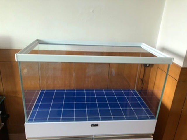 d038ddb6-3388-4794-9119-9116b1171c7a.jpe