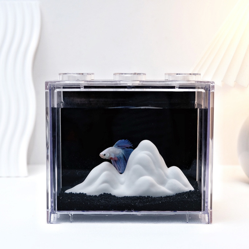 5fd2d520-9a13-4538-9584-2399e572458e.jpe