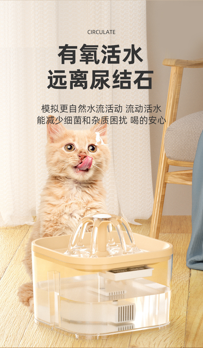 95e3f81a-336e-4318-841e-82e865f0dd60.jpe