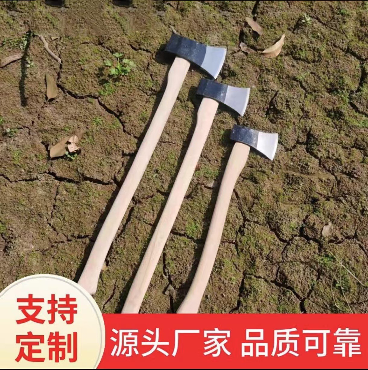 微信图片_20241224142317