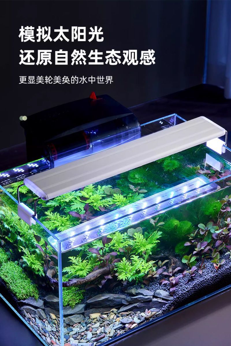 cebc94a8-0bd9-4297-be08-f83474da1495.jpe