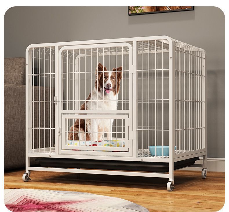 5d876882-9589-4413-a90e-8722a12738ad.jpe