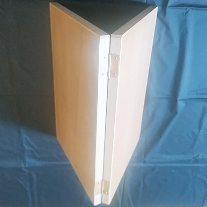 B612Kaji_20200428_091236_842_副