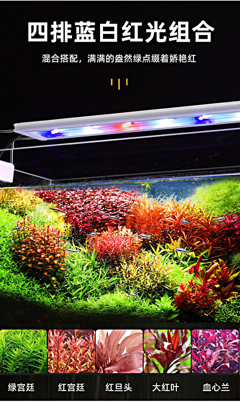 05716363-ea7f-4429-afa6-68e5c6e92e68.jpe