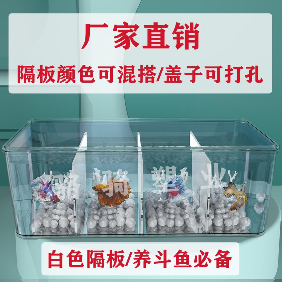 6f82c090-b470-47d2-895d-463a1af0b757.jpe