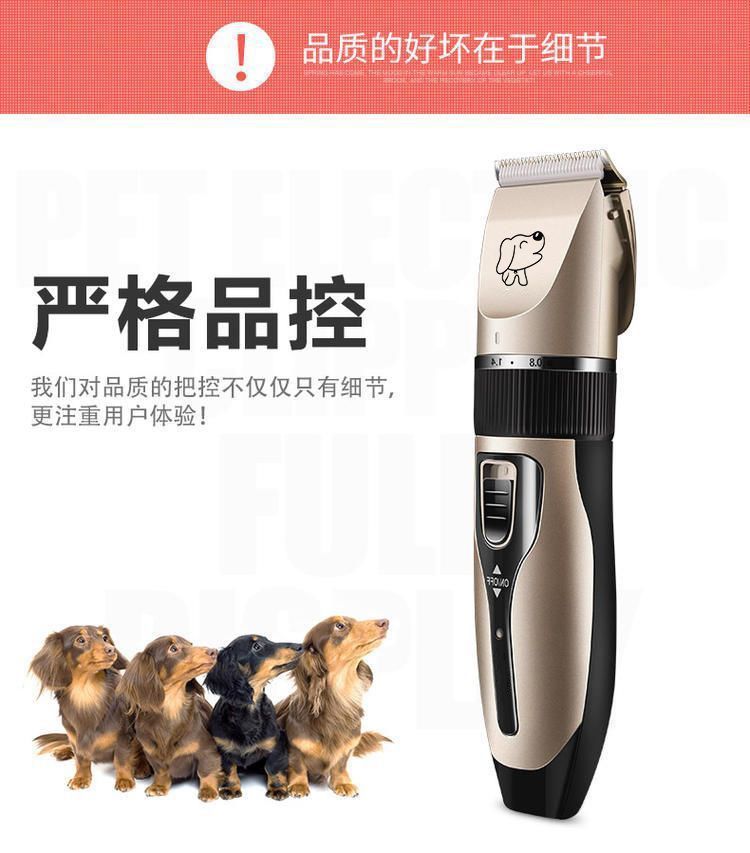 cb939e5d-3727-498a-b48a-8a94fba8e436.jpe