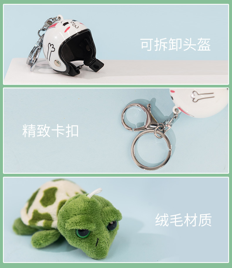 小乌龟_05