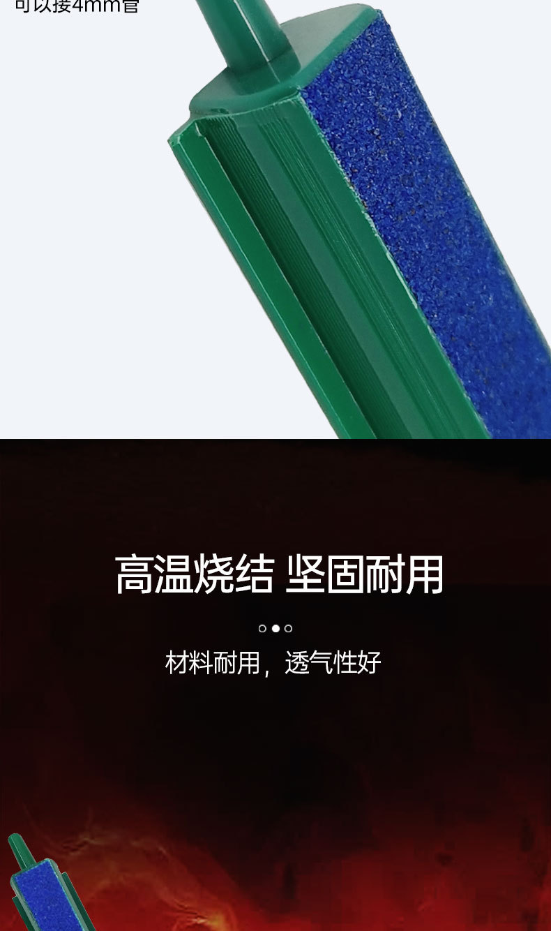 条_04.jpg