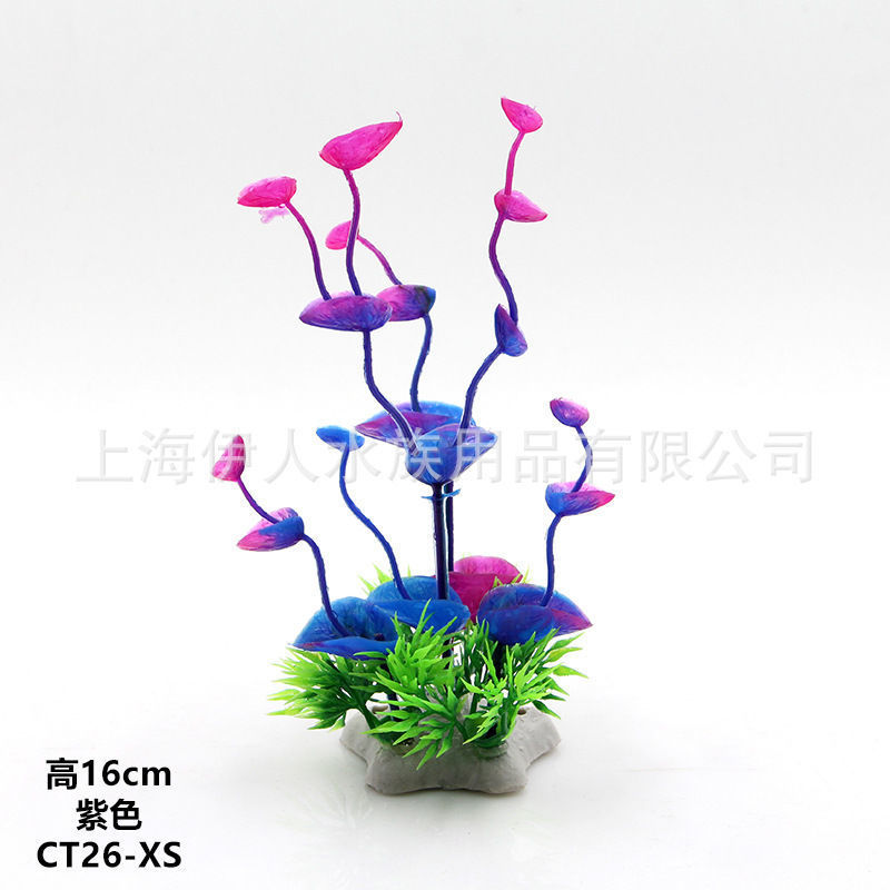 550421bd-19c9-4259-a683-c9d10c2cb1d8.jpe