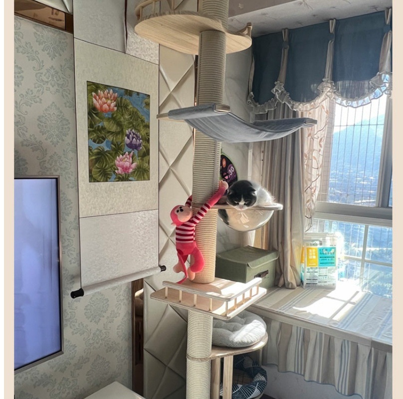 f4d354d5-372d-4352-b729-a1cc2eddf43b.jpe