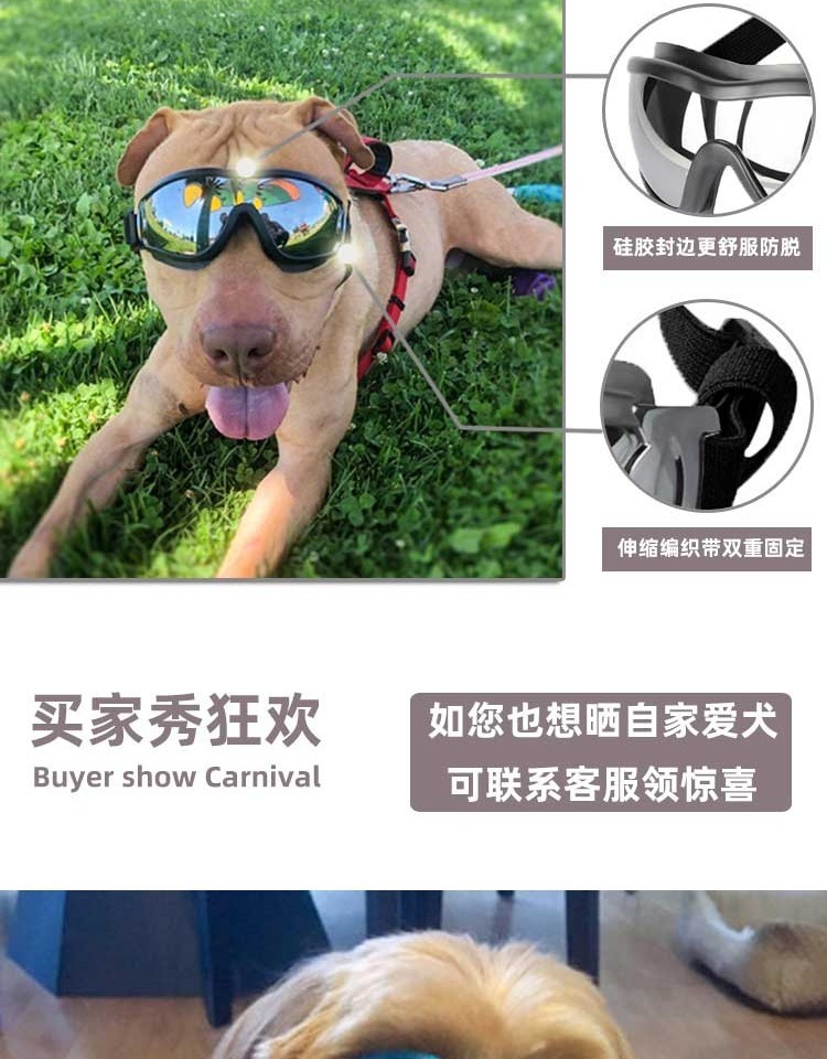 f029cb38-6052-4f76-84d1-35421d5c9f7f.jpe