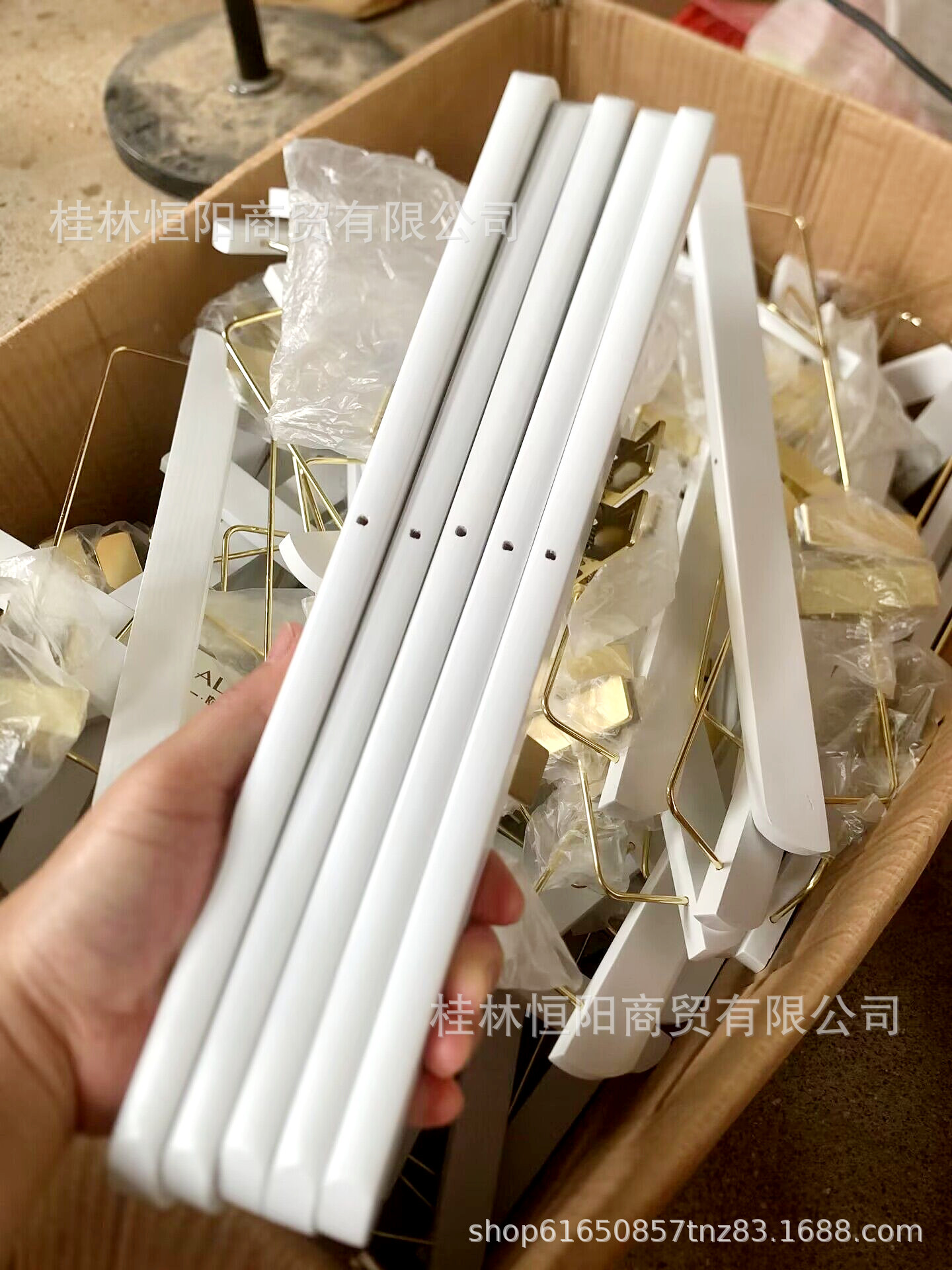 QQ图片20230620142920
