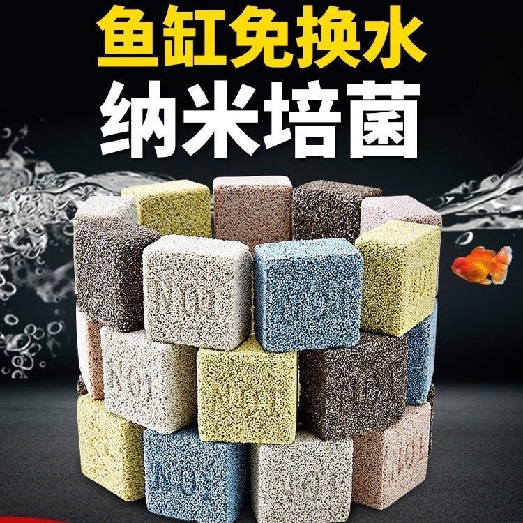 a7d3685b-4a17-4940-b3f6-375d3ded5700.jpe