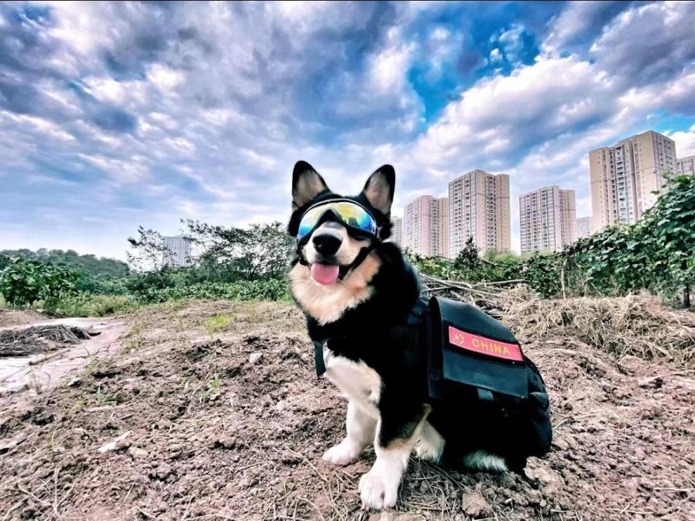 d35f2484-559e-4e58-8c6b-7ca284076b0b.jpe