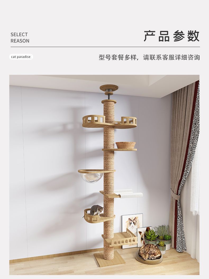 d0193b36-43d5-4746-ace0-7c8ffbe2d5fc.jpe