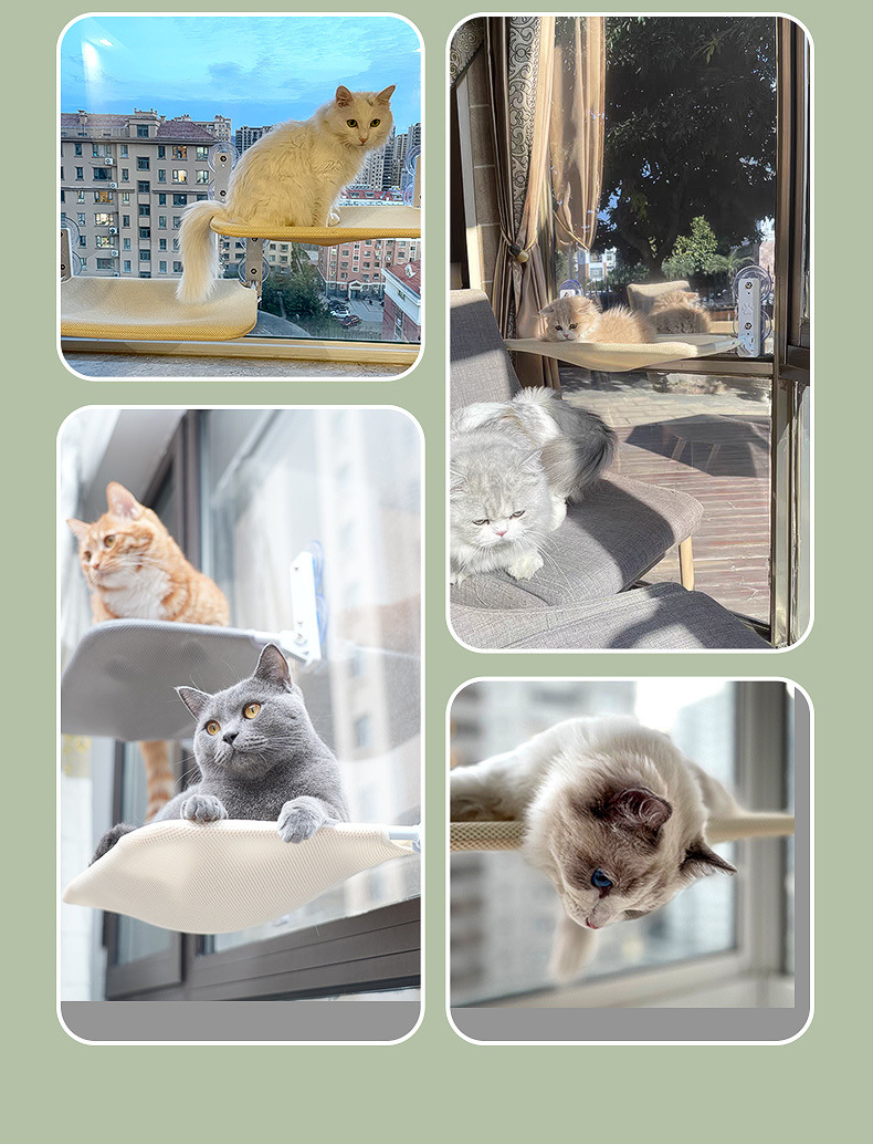 84c1032e-7b9d-46cd-bcdc-61ce51f2974a.jpe