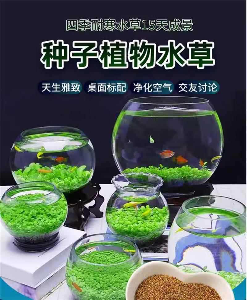 详情图片_1