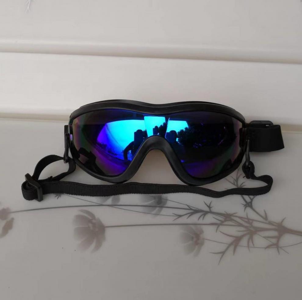 8deeab57-2129-45fe-b3d1-40dd4fa37156.jpe