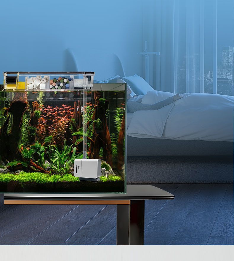 abca09fc-1938-411f-bb11-a89223c1b92f.jpe