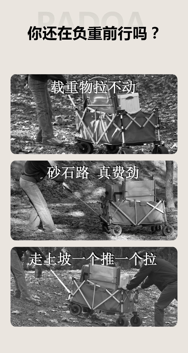 e98183ec-1381-40e0-9e8e-21a8d766334d.jpe