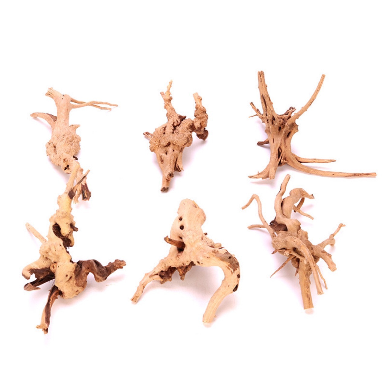 ;小栖根鱼缸造景"