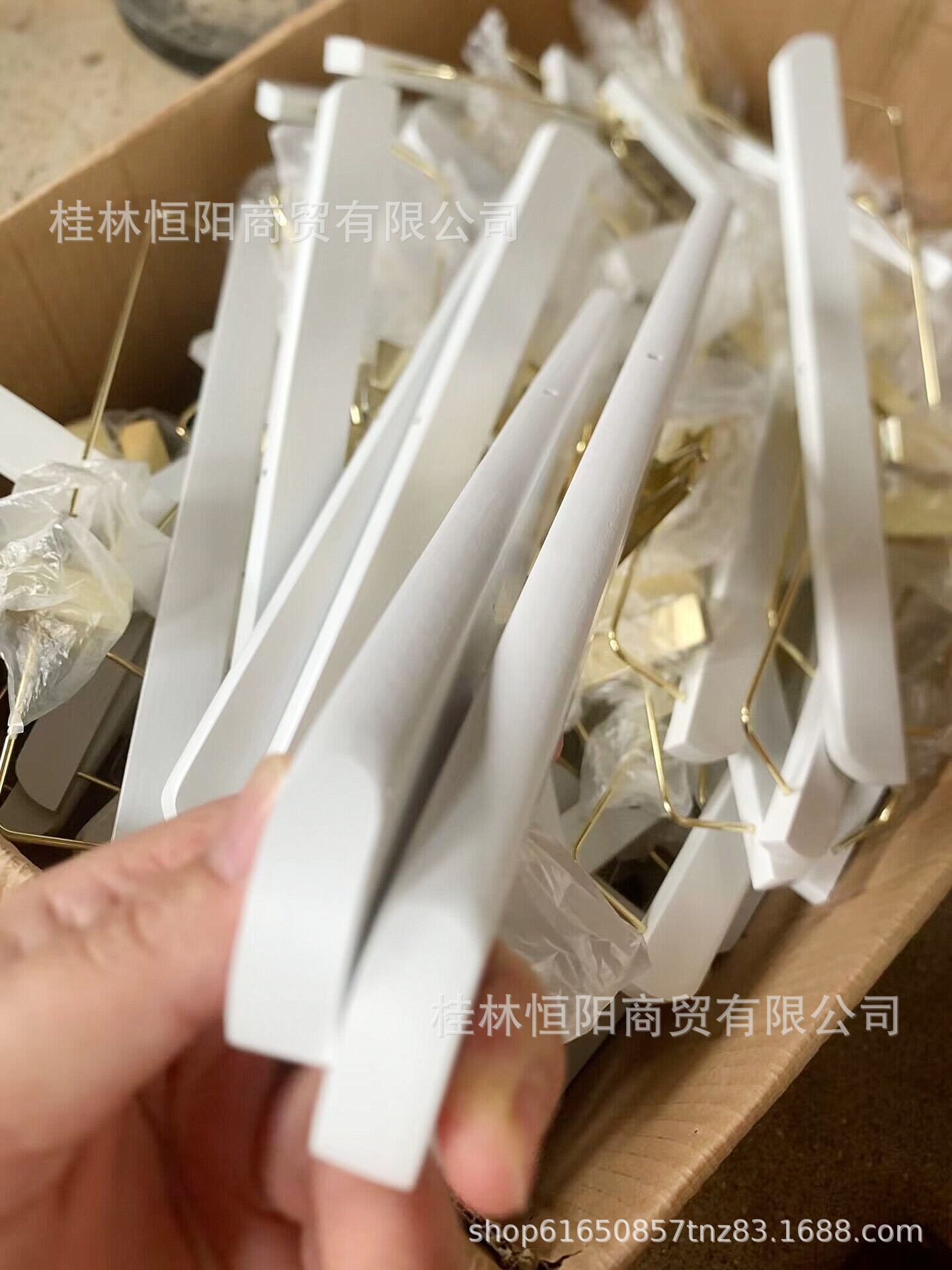 QQ图片20230620142909