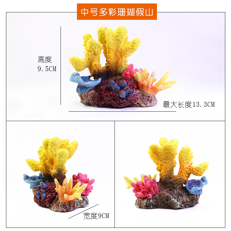 中号多彩珊瑚