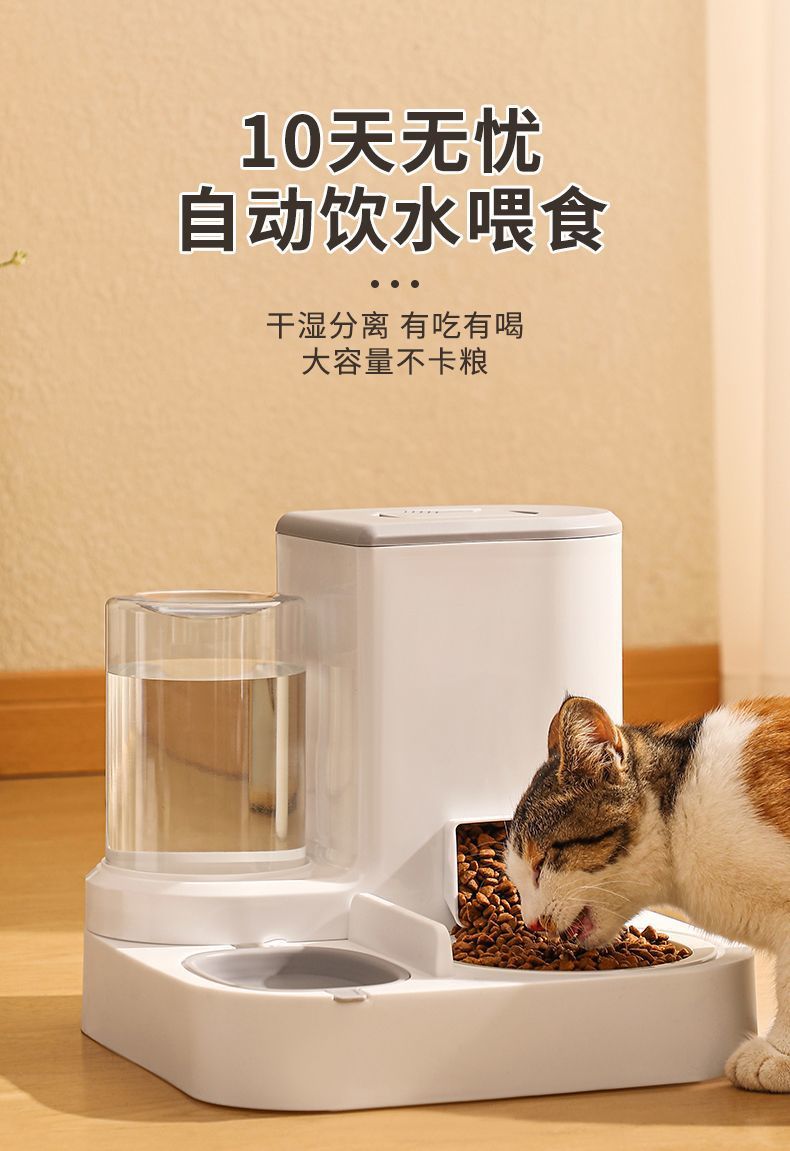 10fca98d-bb63-4661-8334-d143cb304162.jpe