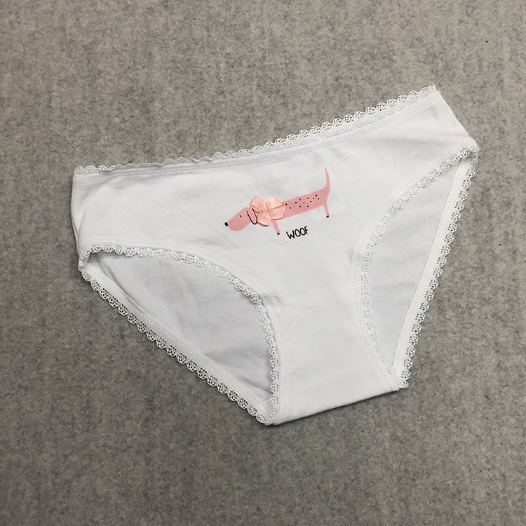 白底腊肠犬 (2).jpg