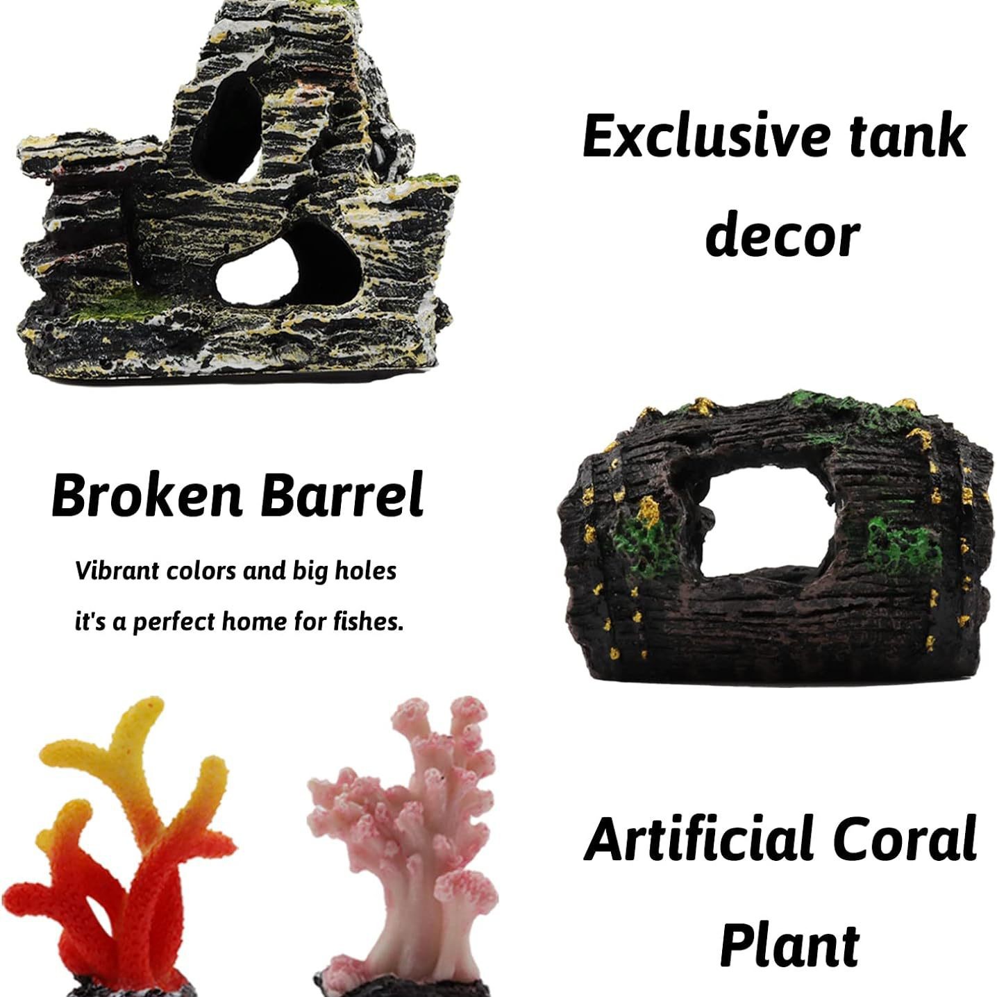 2025-02-25 16:46:10.jpg