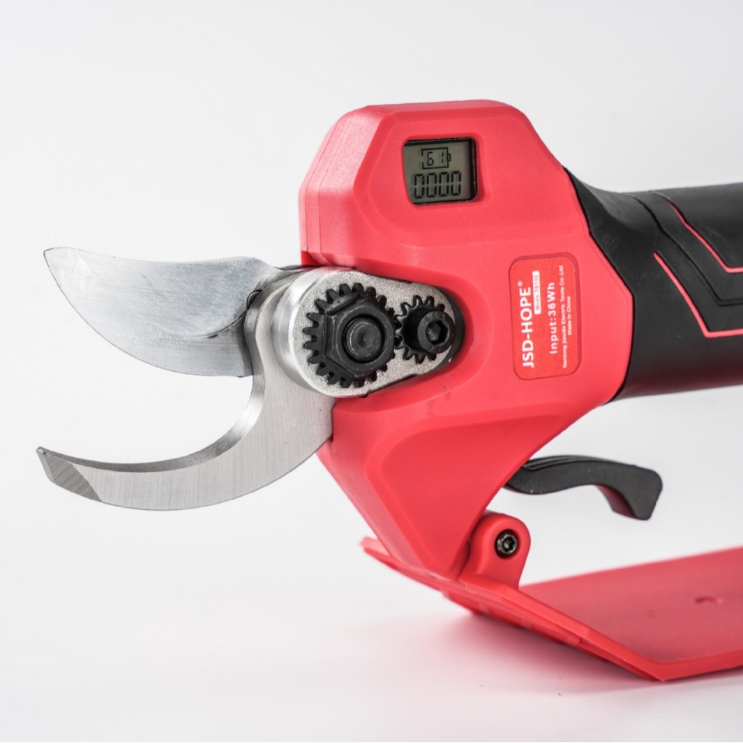 2025-04-21 13:15:34.jpg