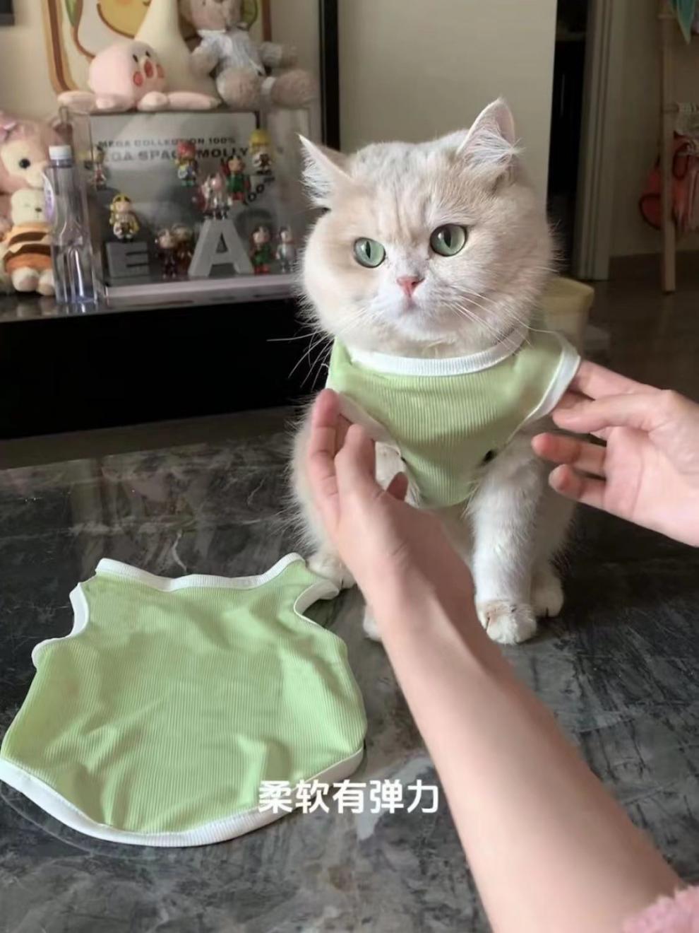 a87150c6-0368-4aa7-af4d-59237bb8f6cc.jpe