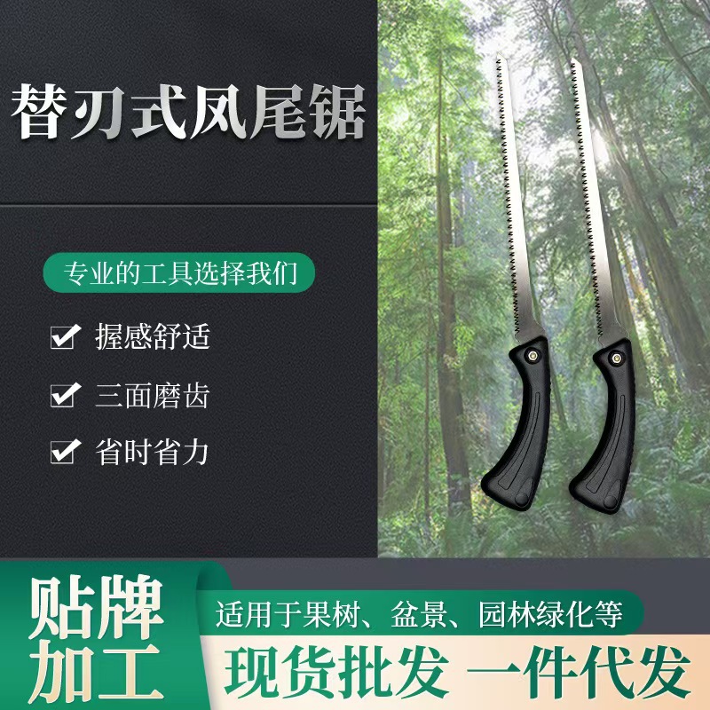 微信图片_20260429101259_266_92