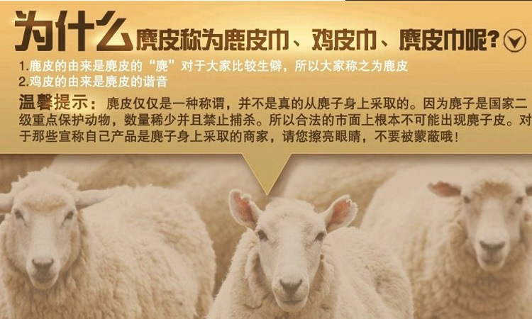 描述41