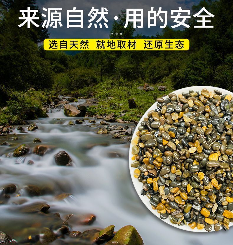 fe4a206b-7404-4608-8e8c-9529cd750606.jpe