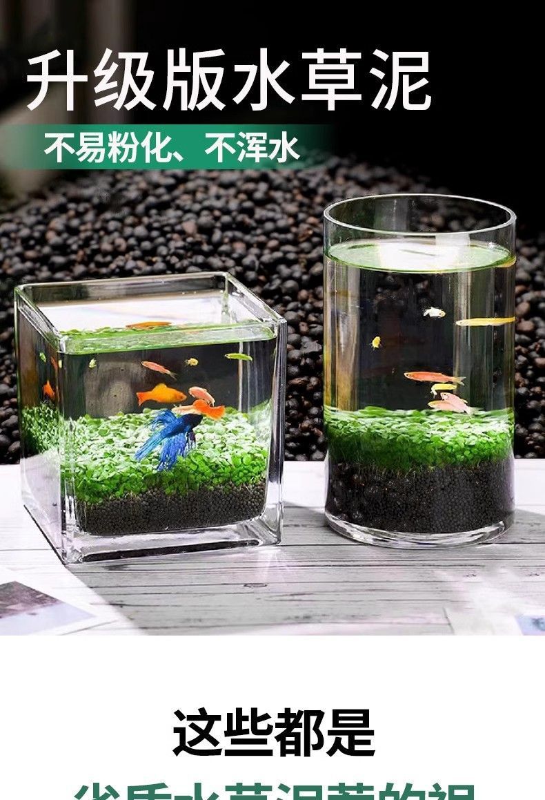 74732662-98c9-4f66-b4e9-d851a0498097.jpe