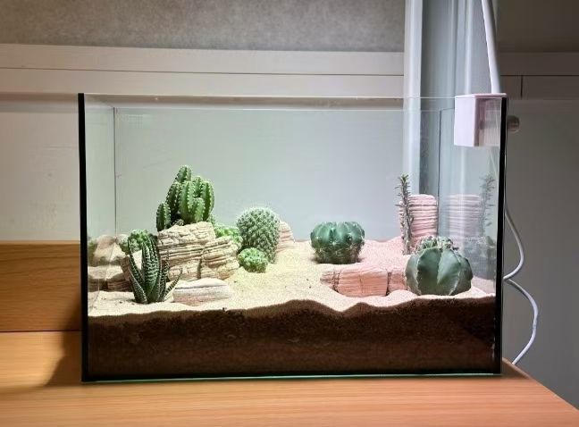 9e9631d8-bc98-4e18-a5ab-a2e029258324.jpe