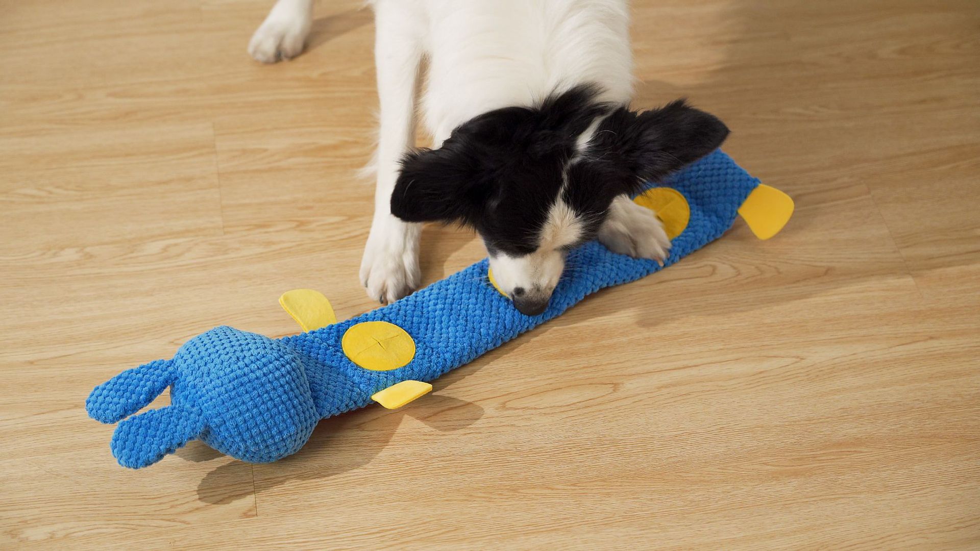 觅食兔子 (14).jpg