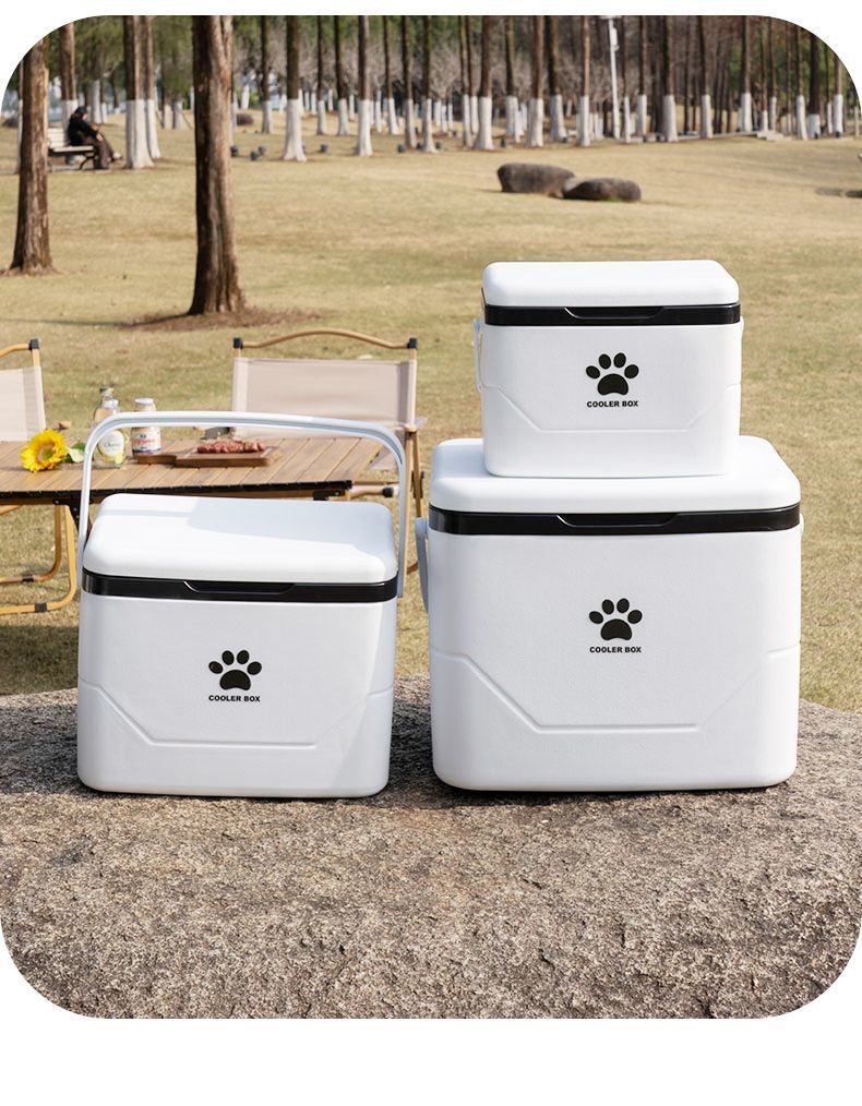 3b3d2753-2349-4903-b0e2-ff7e36d37e54.jpe