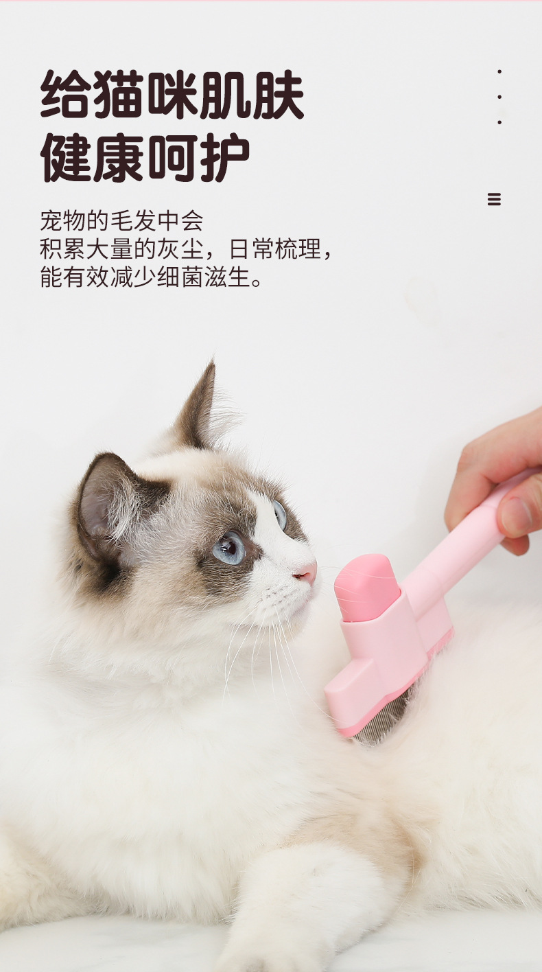 详情_12.jpg