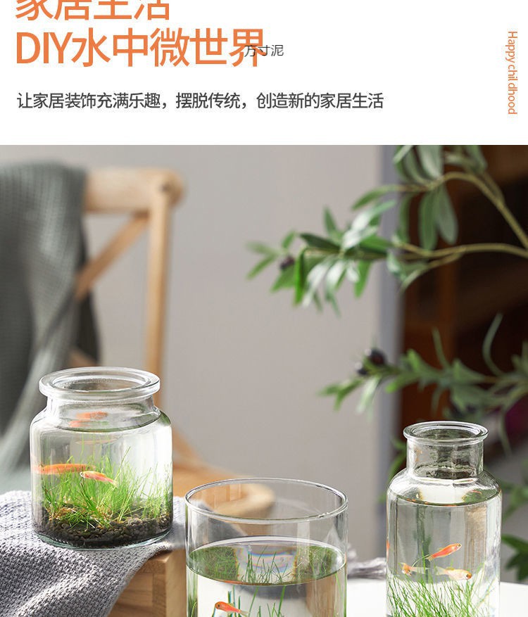 8a3c52fd-1c8c-447a-bdf2-622ef2ea9fdf.jpe