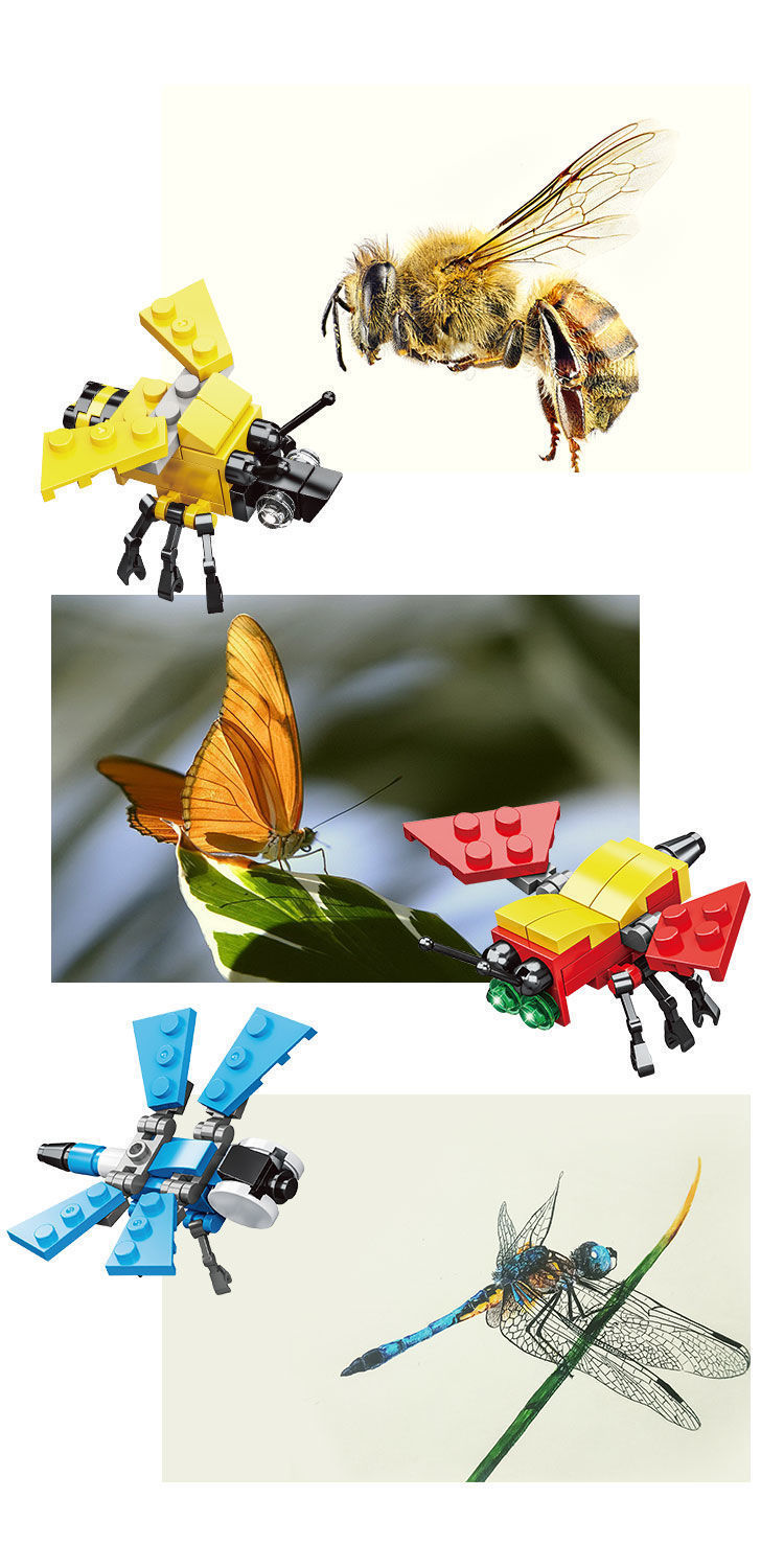 O1CN01csgVHh1Eujszcl1jm_!!2212