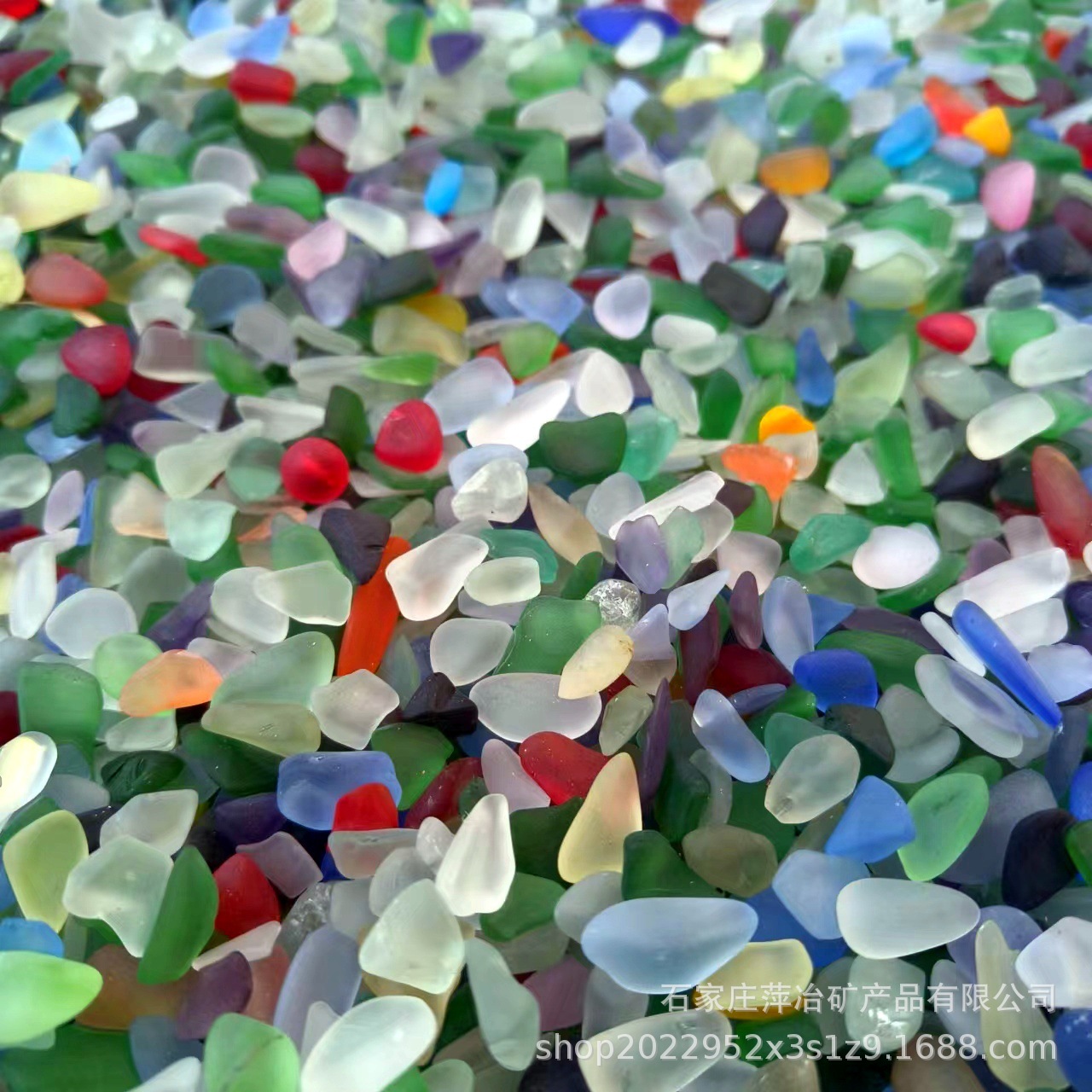 微信图片_20240328224331