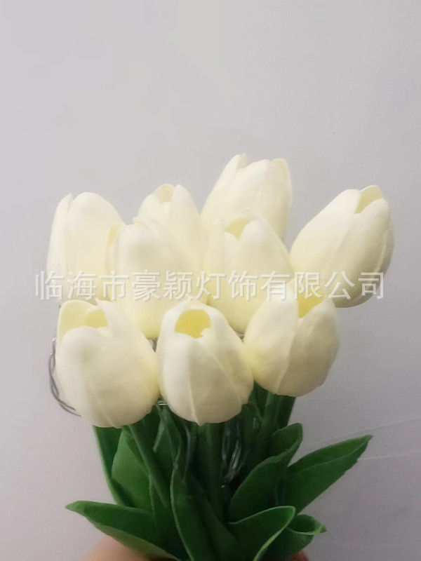 微信图片_20230205144933_副本