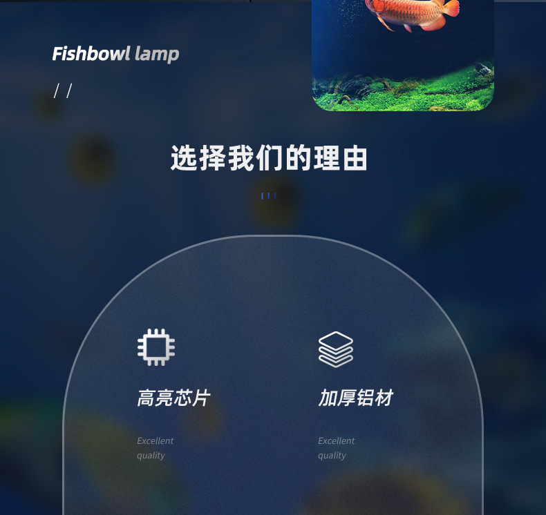 未标题-1_03