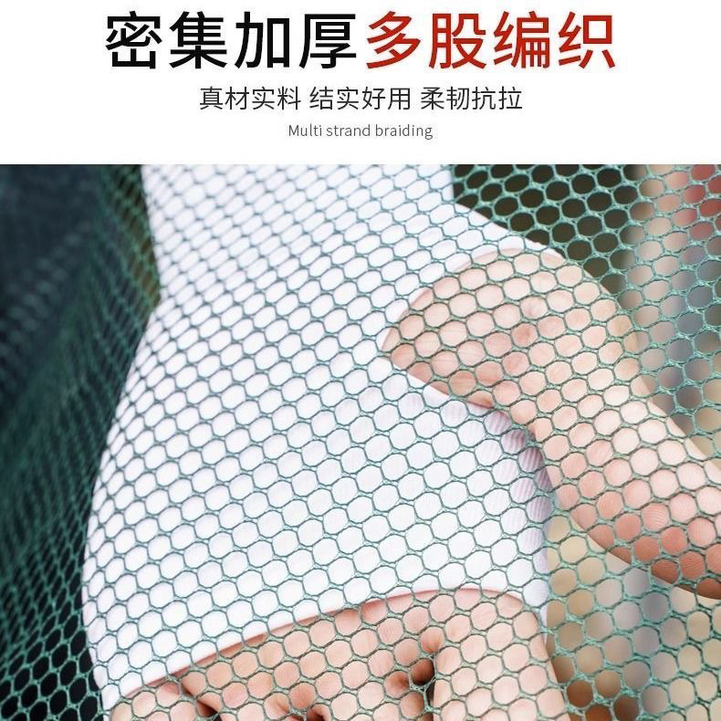 6e70c2a1-0073-43a0-920b-a83ba7fb2139.jpe