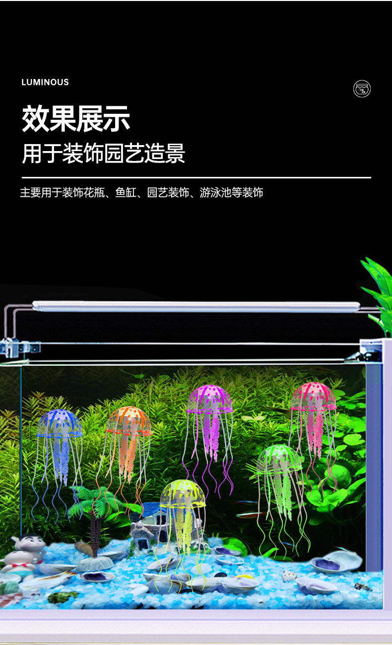 水母详情_03.jpg