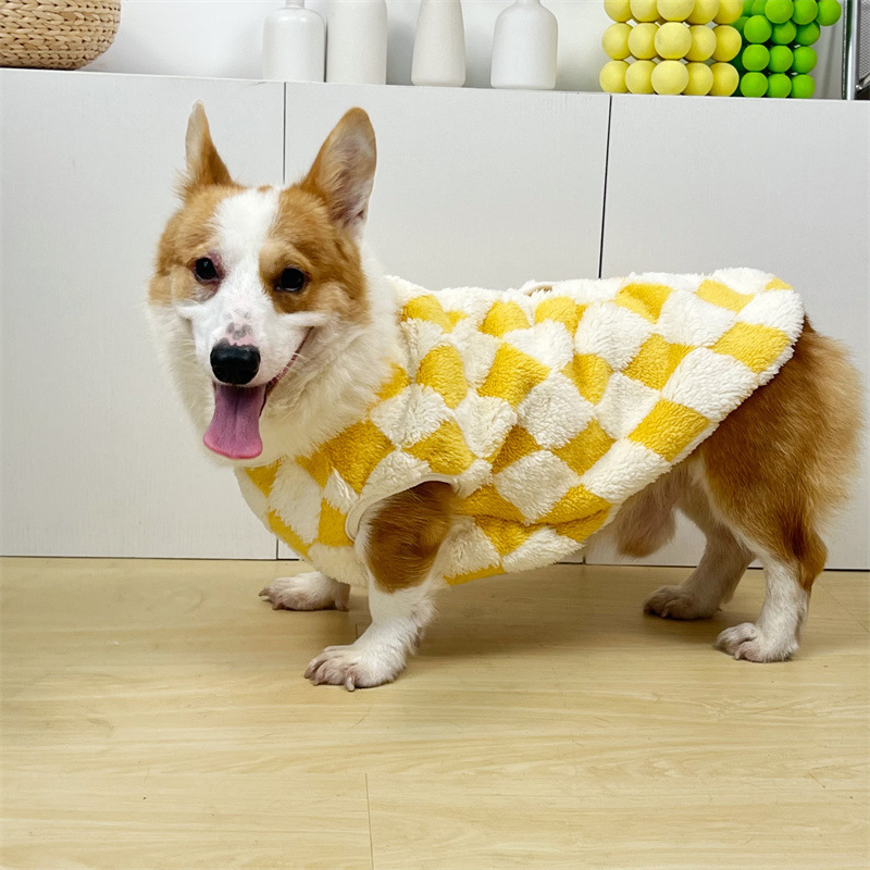 b1a762e5-6a7e-4c80-b219-21adf93d5a9c.jpe