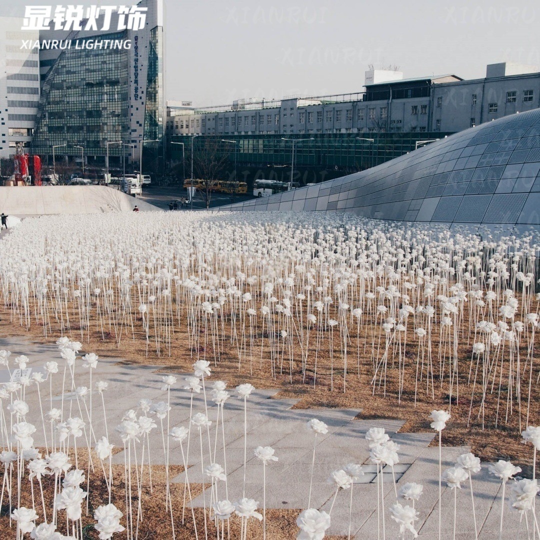 O1CN0161XMZf1shXQgSTf9g_!!2212